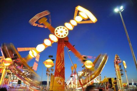 bearings luna park